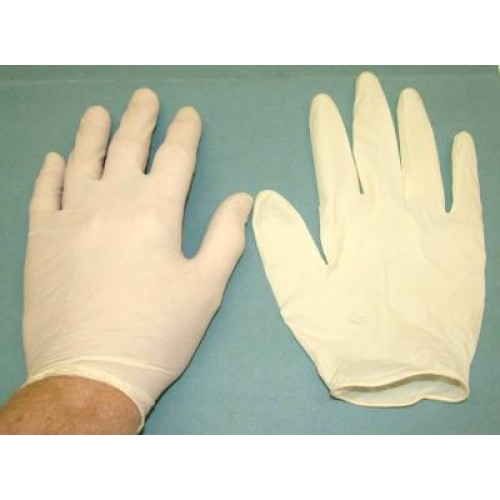 WS 2101 Latex Gloves - Large